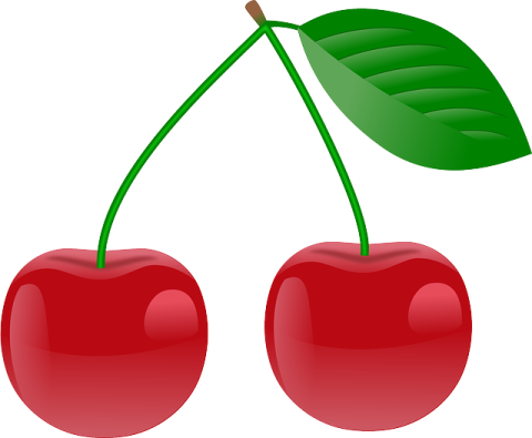 cherry-105141_640-300x247-1-480x395